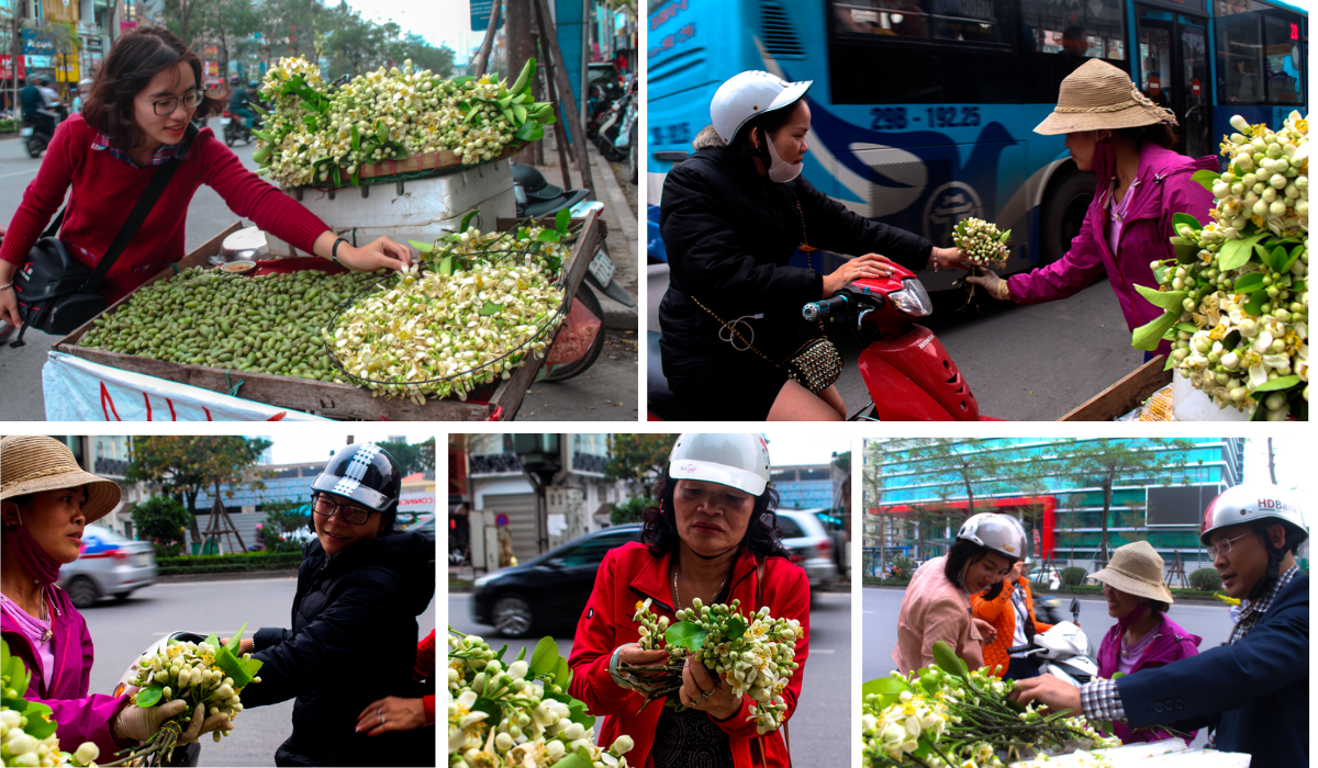 Nao lòng những gánh hoa bưởi mang hồn quê ra Hà Nội